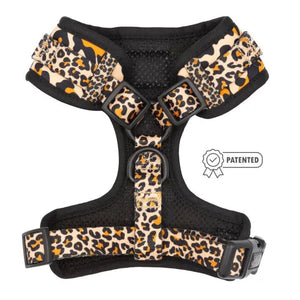 Sass Gone Wild Adjustable Harness - Posh Puppy Boutique