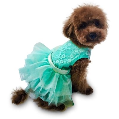 Seafoam Irredescent Lace Fufu Tutu Dress