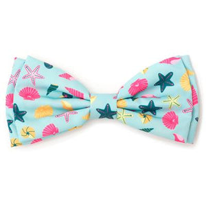 Seashells Teal Bow Tie - Posh Puppy Boutique