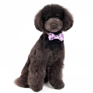 Sequins 1 Collar Slider Bow Tie - Purple - Posh Puppy Boutique