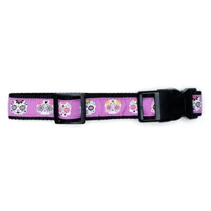 Skeletons Collar & Lead Collection - Purple - Posh Puppy Boutique