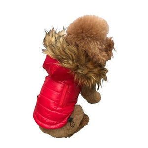 Ski Bunny Puffer Coat - Red - Posh Puppy Boutique