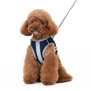 SnapGO Basic Harness - Navy Blue - Posh Puppy Boutique