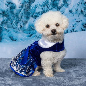 Snowflakes Holiday Dog Harness Dress with Matching Leash - Posh Puppy Boutique