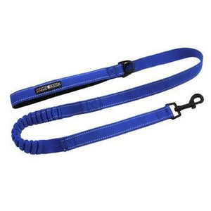 Soft Pull Traffic Dog Leash - Cobalt Blue - Posh Puppy Boutique