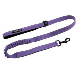 Soft Pull Traffic Dog Leash - Paisley Purple - Posh Puppy Boutique