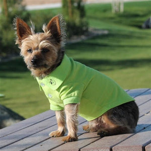 Solid Dog Polos - Green Flash - Posh Puppy Boutique