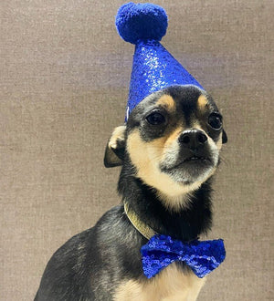 Sparkle Party Hat & Bow Tie Set in 3 Colors - Posh Puppy Boutique