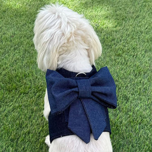 Spring Blue Bow Harness - Posh Puppy Boutique