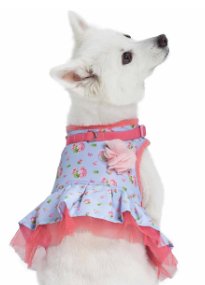 Spring Scent Inspired Floral Dog Harness Dress in Pastel Blue - Posh Puppy Boutique