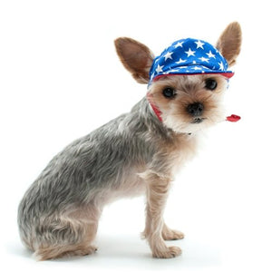 Star Hat - Posh Puppy Boutique