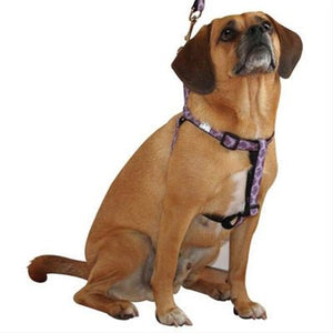 Step In Harness - Nirvana - Posh Puppy Boutique