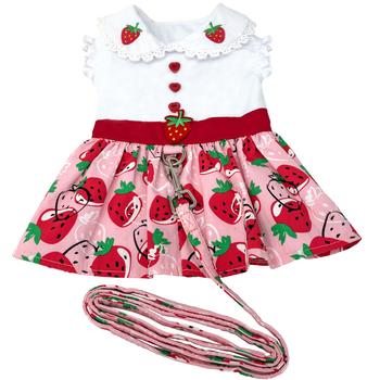 Strawberry Picnic Dog Dress with Matching Leash