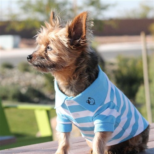 Striped Dog Polos - Blue Niagara and White