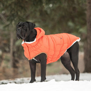 Super Puff Parka in Orange - Posh Puppy Boutique