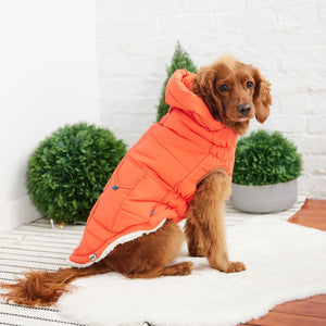 Super Puff Parka in Orange Posh Puppy Boutique