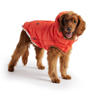 Super Puff Parka in Orange - Posh Puppy Boutique