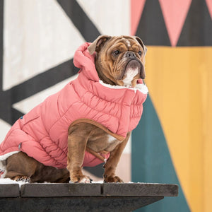 Super Puff Parka in Pink - Posh Puppy Boutique