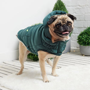 Super Puff Parka in Teal - Posh Puppy Boutique