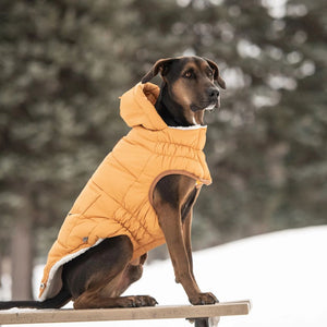 Super Puff Parka in Yellow - Posh Puppy Boutique