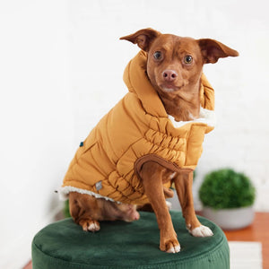 Super Puff Parka in Yellow - Posh Puppy Boutique