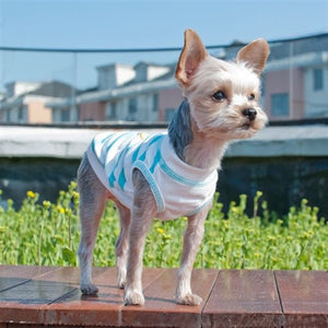 Surf's Up Tank - Posh Puppy Boutique