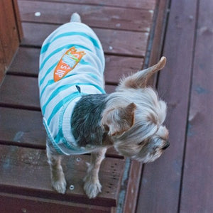 Surf's Up Tank - Posh Puppy Boutique