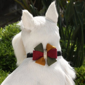 Susan Lanci Autumn Collar - Posh Puppy Boutique