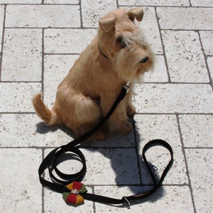 Susan Lanci Autumn Leash - Posh Puppy Boutique