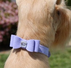 Susan Lanci Big Bow Collection Ultrasuede Collar in Many Colors - Posh Puppy Boutique