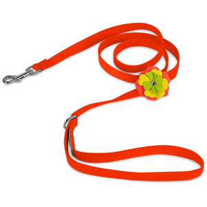 Susan Lanci Citrus Flower Leash - Posh Puppy Boutique