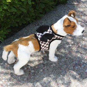 Susan Lanci Contrasting Trim Bailey Harnesses - Windsor Check Collection - Posh Puppy Boutique