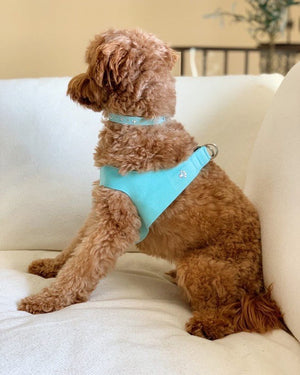 Susan Lanci Crystal Paw Collection Embellished Step - In Harnesses - Many Colors - Posh Puppy Boutique