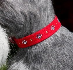 Susan Lanci Crystal Paws Ultrasuede Collars in Many Colors - Posh Puppy Boutique