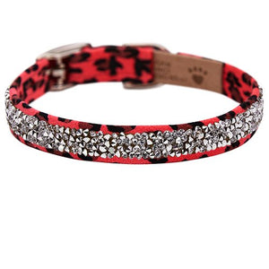 Susan Lanci Crystal Rocks Collar - Jungle Print Collection - Posh Puppy Boutique