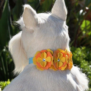 Susan Lanci Darla Collar - Posh Puppy Boutique