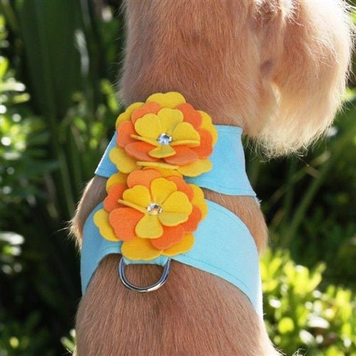 Susan Lanci Darla Tinkie Harness