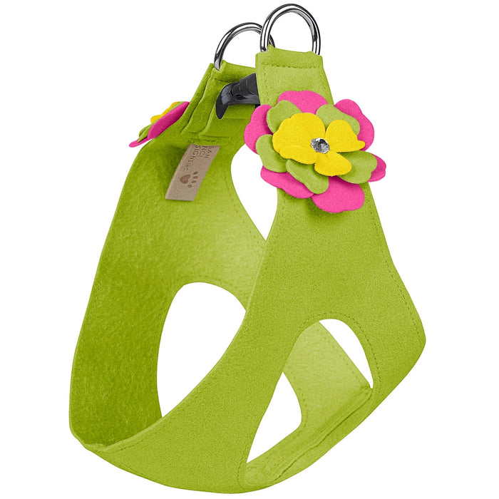 Susan Lanci Dragon Fruit Flower Step In Harness