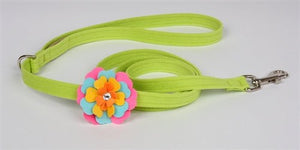 Susan Lanci Fantasy Flower Collection Collar - Kiwi - Posh Puppy Boutique