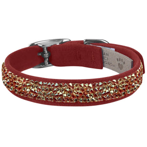 Susan Lanci Gold Puparoxy Collar in Many Colors - Posh Puppy Boutique