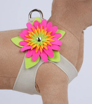 Susan Lanci Island Flower Collection Step In Harness - Many Colors - Posh Puppy Boutique