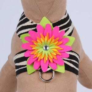 Susan Lanci Island Flower Collection Tinkie Harness in Jungle Prints - Posh Puppy Boutique