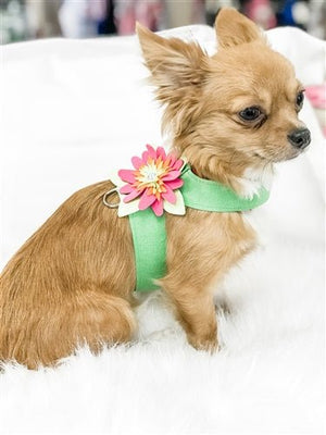 Susan Lanci Island Flower Collection Tinkie Harness - Many Colors - Posh Puppy Boutique