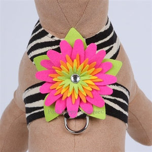 Susan Lanci Island Flower Collection Tinkie Harness - Many Colors - Posh Puppy Boutique