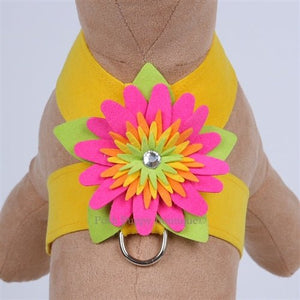 Susan Lanci Island Flower Collection Tinkie Harness - Many Colors - Posh Puppy Boutique