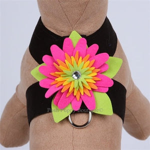 Susan Lanci Island Flower Collection Tinkie Harness - Many Colors - Posh Puppy Boutique