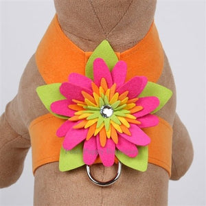 Susan Lanci Island Flower Collection Tinkie Harness - Many Colors - Posh Puppy Boutique