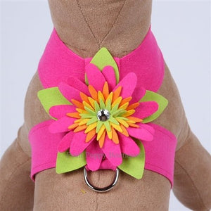 Susan Lanci Island Flower Collection Tinkie Harness - Many Colors - Posh Puppy Boutique