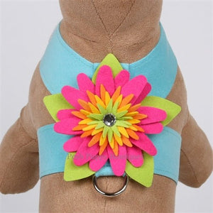 Susan Lanci Island Flower Collection Tinkie Harness - Many Colors - Posh Puppy Boutique