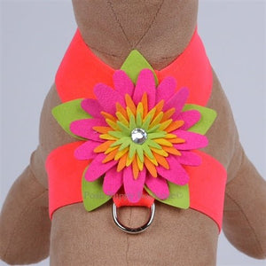 Susan Lanci Island Flower Collection Tinkie Harness - Many Colors - Posh Puppy Boutique